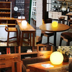 Mr.Go 10" Ultra-Fun Waterproof RGB Color-Changing LED Ball Light Orb Globe Lamp, Dimmable 16 Colors 4 Modes, Ideal for Kids Night Light Party Outdoor Pool Garden Patio Ambient Decorative Lighting