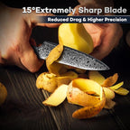 DRAGON RIOT Japansec Paring Knife 5 inch, VG-10 Steel Fruit Knives, Japanese Peeling Knife with Ergonomic Wood Handle