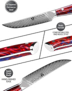 WILDMOK Steak Knives, 5 inch Non Serrated Steak Knife Set of 4, Japanese Damascus VG10 Steel Steak Knives,Premium Steak Knives Set with Gift Box