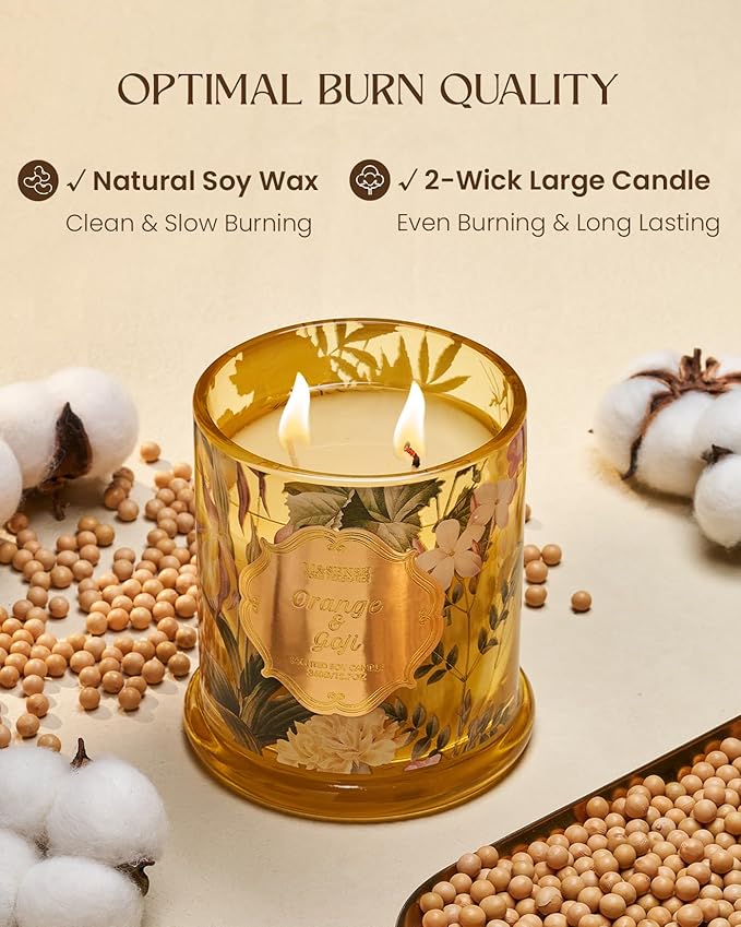 M&SENSE Orange Goji Scented Candle for Home, Plant-Based Soy Candles Non Toxic, Fresh Citrus Fragrant Air Purifying Relaxing Aromatherapy, 2 Wick 12.7oz Large Jar Candle 75H Long Lasting, Father Gift