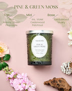 M&SENSE Pine & Moss Scented Candles, Natural Soy Wax 18oz 100 Hours Long Lasting Slow Burn, Cracking Wooden Wick Aromatherapy Candle for Women, Winter Holiday Christmas Gifts