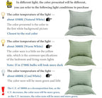 Standard Pillowcase Set of 2 20X26 Pillow Covers Cotton Bed Pillow Shams Soft Decorative Pillow Cases with Envelope Closure, Sage Green