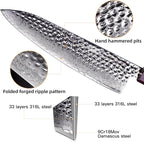 FINDKING Eternity Series Japanese Chef Knife with ABS sheath, Professional Kitchen Knife, 9Cr18MoV Damascus Steel Blade, Resin Octagonal Handle, Sharp, for Meat Cutting, 8 Inches