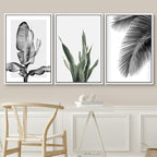 SIGNWIN Framed Canvas Print Wall Art Trio of Jungle Palms & Snake Succulents Floral Plants Photography Modern Art Minimalist Black and White for Living Room, Bedroom, Office - 16"x24"x3 White
