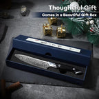 DRAGON RIOT Japansec Paring Knife 5 inch, VG-10 Steel Fruit Knives, Japanese Peeling Knife with Ergonomic Wood Handle