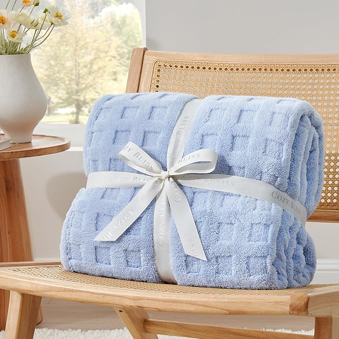 Cozy Bliss Soft Twin Size Waffle Blanket - Lightweight Cozy Blankets Gift for Women,Cute Checkered Throws Blanket for Bed, Couch and Sofa,Light Blue,60x80 Inches