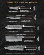 XINZUO Kitchen Cutting Knife Set of 5 Piece,67 Layers Hammered Damascus Blade,Razor Sharp Japanese-Style Chef Knife Set with Pakkawood Handle,Gift Box