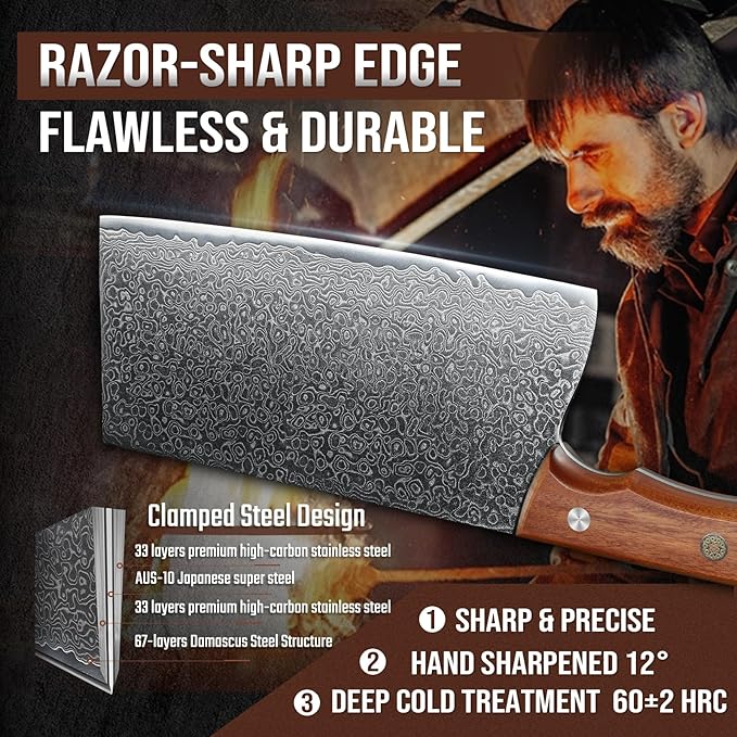 DRAGON RIOT Damascus Cleaver Knife 10 inch, VG10 Damascus Knife for Meat Cutting, Butcher Knife with Wood Handle for Chopper Vegetables Razor Sharp Chooping Knife, Premium Gift Box