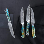 WILDMOK Steak Knife Set 4pc Full Tang 5 inch Forged Damascus Steel Dinner Knives Full Tang Ergonomic Beautiful Resin Handle