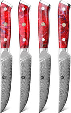 WILDMOK Steak Knives, 5 inch Non Serrated Steak Knife Set of 4, Japanese Damascus VG10 Steel Steak Knives,Premium Steak Knives Set with Gift Box