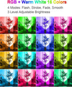 ZUCKEO Indoor Uplighting RGB Floor Can Light LED Spotlight Uplights, 5W Indoor Color Changing Spot Light GU10 Bulb Accent Up Lighting for Plant Corner Christmas, 5.25FT Plug in Cord & Switch, 1 Pack
