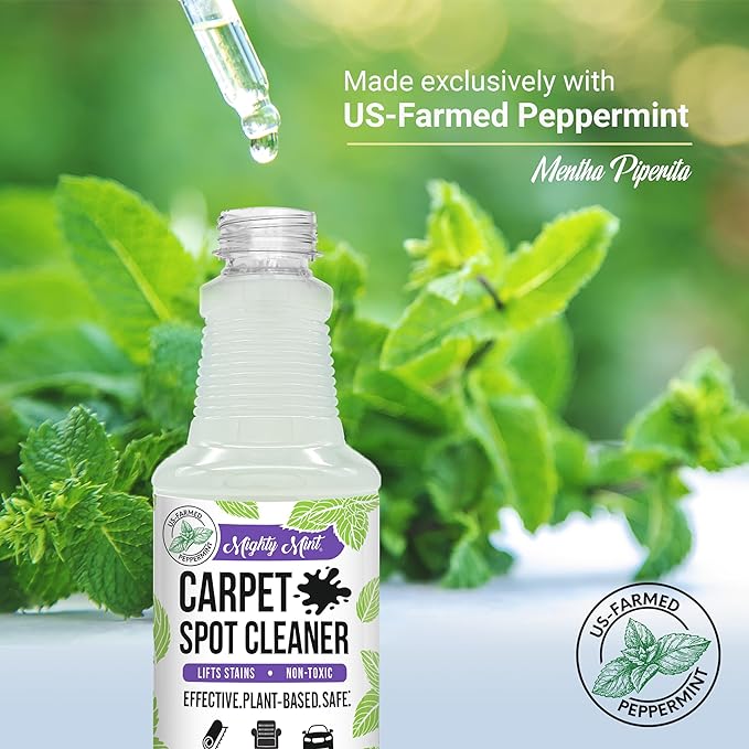 Mighty Mint Carpet Spot Cleaner, Spray to Remove Carpet Stains Instantly, Natural Peppermint Scent, 16oz