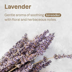 ATTITUDE Fabric Refresher for Pets, Neutralizes Odors, Plant and Mineral-Based Ingredients, Vegan and Cruelty-free, Bulk Refill, Lavender, 67.62 Fl Oz