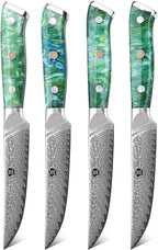 WILDMOK Steak Knives, 5 inch Non Serrated Steak Knife Set of 4, Japanese Damascus VG10 Steel Steak Knives, Dishwasher Safe Steak Knives, Premium Steak Knives Set with Gift Box
