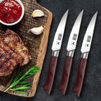 HOSHANHO Steak Knife Set 8 Pieces, 4.5 Inch Super Sharp High Carbon Stainless Steel Steak Knife Set, Professional Premium Serrated Precise Cutting with Ergonomic Wood Handle