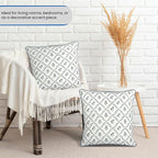 Ridhi Powder Blue Block Print Preppy Grandmillennial Pillow Cover Set of 2-18" x 18" Throw Pillow for Home White Floral Pillow Cover Grandmillennial Home Decor Thanksgiving