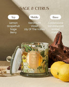 M&SENSE Sage Citrus Scented Candles, Natural Organic Soy Candle 12.7oz 75H Long Lasting Slow Burning, 2 Wick Large Jar Candle Stress Relief Air Purifying, Gifts for Men Women Father