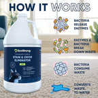 Cat Stain and Odor Remover| Enzyme Urine Odor Neutralizer - Stain Remover for Carpet, Litter Boxes, Bedding, and Laundry [160 Fl Oz Bundle]