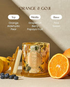 M&SENSE Orange Goji Scented Candle for Home, Plant-Based Soy Candles Non Toxic, Fresh Citrus Fragrant Air Purifying Relaxing Aromatherapy, 2 Wick 12.7oz Large Jar Candle 75H Long Lasting, Father Gift