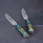 WILDMOK Steak Knife Set 4pc Full Tang 5 inch Forged Damascus Steel Dinner Knives Full Tang Ergonomic Beautiful Resin Handle