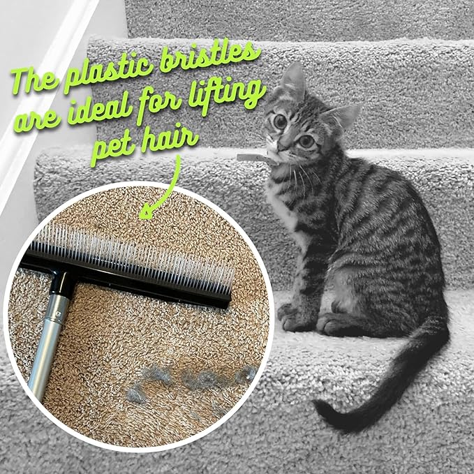 Room Groom Carpet Rake Groomer with Telescoping 54" Adjustable Handle & Portable Lint Remover Brush Tool, Carpet Brush Ideal for Pet Hair, Refreshing Carpets, Rugs, and Artificial Turf