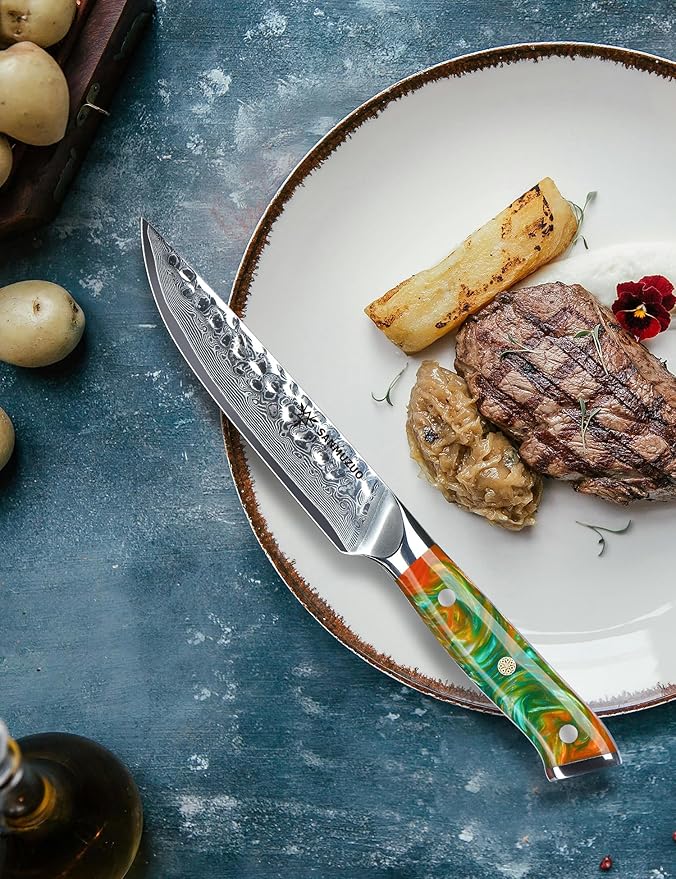 Steak Knives Set of 4, Ultra Sharp Kitchen Steak Knife 5 Inch - Forged Damascus Steel & Resin Handle - Yao Series