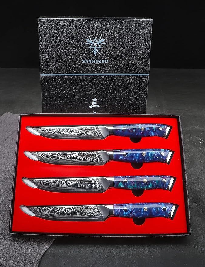 Steak Knives Set of 4, Ultra Sharp Non Serrated Kitchen Steak Knife 5 Inch - Damascus Steel & Resin Handle - Xuan Series (Sapphire Blue)