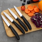 BEWOS Paring Knife - Straight Edge Paring Knives Set of 4, Ergonomic Handle, Classic Black PP Plastic Handle, Fruit Knife & Cutting Knives for Kitchen, 4.1-inch Pointed Tip