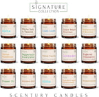 Sugared Cranberry Scented Candle, Many Scents to Choose from, All Natural Non-Toxic Soy Wax, Handmade in The USA (Sugared Cranberry)