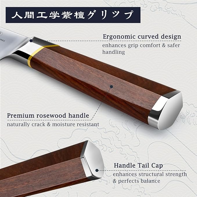 HOSHANHO Brisket Knife 12 Inch, Japanese High Carbon Steel Carving Knife for Meat Cutting and BBQ, Razor Sharp Slicing Knives with Ergonomic Handle & Gift Box