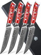 Steak Knives Set of 4, Ultra Sharp Non Serrated Kitchen Steak Knife 5 Inch - Damascus Steel & Resin Handle - Xuan Series (Sunset Red)