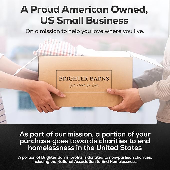 Glass Hand and Dish Soap Dispenser Set by Brighter Barns - Kitchen Soap Dispenser Set with Tray, Stainless Steel Pump - Glass Bottles for Sink - Black Kitchen Accessories for Home, Hotel, Gift (Clear)