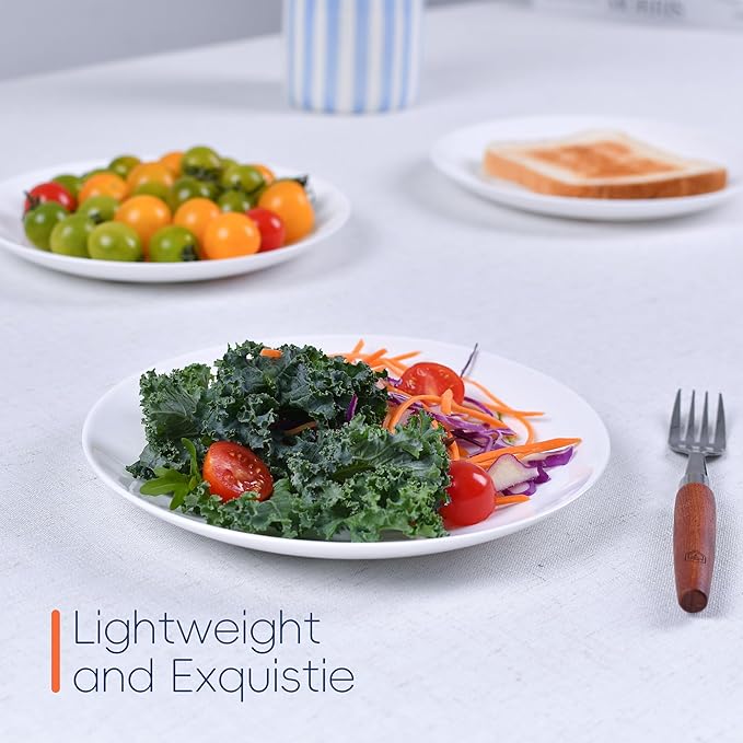 8.5 inch Salad Plate Set of 6, Lightweight Opal Glass Round White Plates for Appetizer Dessert Kitchen, Dishwasher and Microwave Safe