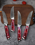 WILDMOK Steak Knives, 5 inch Non Serrated Steak Knife Set of 4, Japanese Damascus VG10 Steel Steak Knives,Premium Steak Knives Set with Gift Box