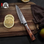 MITSUMOTO SAKARI Paring Knife 4.5 inch, S301 Damascus Steel Precision Fruit & Vegetable Knife (Hand Forged)