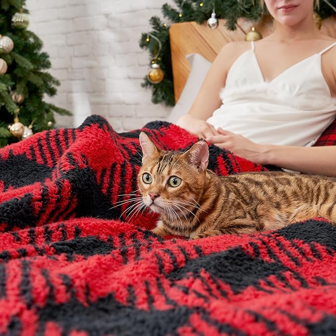 Cozy Bliss Luxury Sherpa Throw Blanket for Couch, Premium Reversible Buffalo Plaid Thick Throw, Warm Cozy Soft Blanket for Home and Gifts (Red/Black Buffalo Check, 50" x 60")