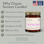 Velvet Vanilla Scented Candle, Many Scents to Choose from, All Natural Non-Toxic Soy Wax, Handmade in The USA (Velvet Vanilla)