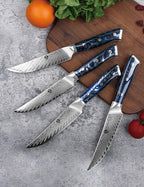 WILDMOK Steak Knives, 5 inch Non Serrated Steak Knife Set of 4, Japanese Damascus VG10 Steel Steak Knives,Premium Steak Knives Set with Gift Box