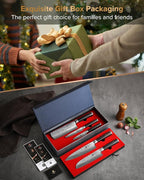 XINZUO Kitchen Cutting Knife Set of 5 Piece,67 Layers Hammered Damascus Blade,Razor Sharp Japanese-Style Chef Knife Set with Pakkawood Handle,Gift Box