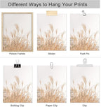SIGNWIN Poster Bathroom Decor, Wall Art Room Decor Multicolor for Living Room, Bedroom, Office White Pampas Grass Beach Ocean Shore Horizon Nature Wilderness Realism Landscape Colorful - 12"x16"x4