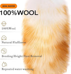 Lambswool Feather Duster with Extension Pole up to 63inch,Extendable Feather Duster Used for Cleaning High Ceiling Fan, High Ceilings,Furniture,Hard to Reach Areas