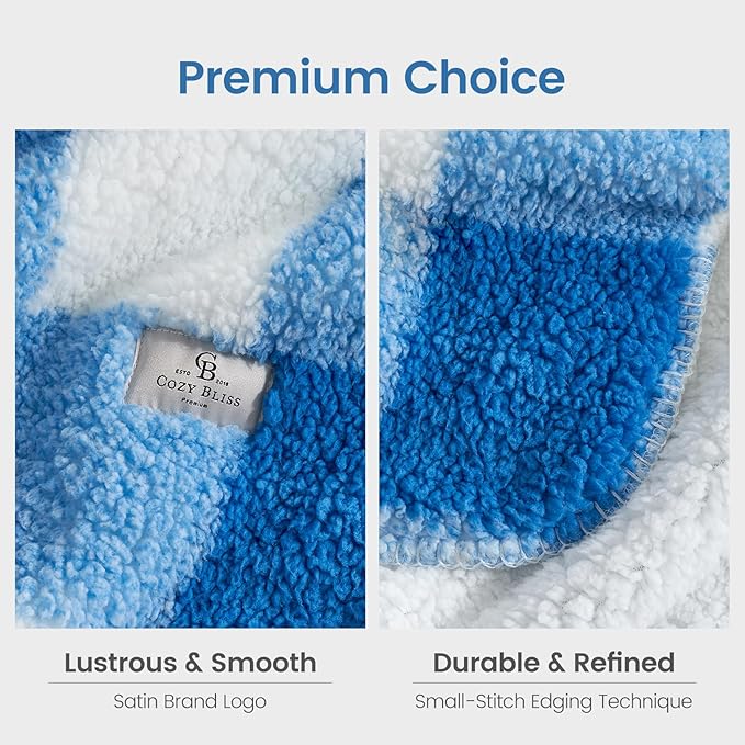 Cozy Bliss Luxury Sherpa Throw Blanket for Couch, Premium Reversible Buffalo Plaid Thick Throw, Warm Cozy Soft Blanket for Home and Gifts (Light Blue, 60" x 80")