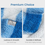 Cozy Bliss Luxury Sherpa Throw Blanket for Couch, Premium Reversible Buffalo Plaid Thick Throw, Warm Cozy Soft Blanket for Home and Gifts (Light Blue, 60" x 80")