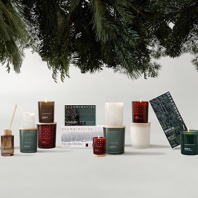 Skandinavisk ARKTIS 'Artcic' Scented Candle with 2 Wicks, Special Edition, Scent Notes: Windswept Woods and Arctic Sage, Spearmint and Snowflakes, Vegan Formula, 12.3 oz.