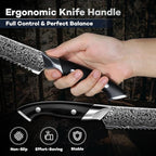 DRAGON RIOT 8 Inch Bread Knife with Damascus Pattern, VG10 Steel Core, High Carbon Stainless Steel Serrated Blade, Ergonomic Curved Handle, Easy to Clean, Kitchen & Baking Gift