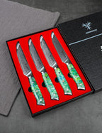 Steak Knives Set of 4, Ultra Sharp Non Serrated Kitchen Steak Knife 5 Inch - Damascus Steel & Resin Handle - Xuan Series(Jade Green)