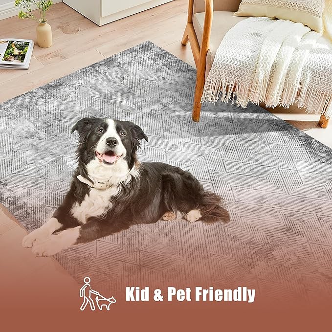 6' x 9' Washable Area Rug - Low Pile Soft Vintage Indoor Rug for Living, Dining or Bedroom - Lightweight Carpet with Non-Slip Backing - Foldable for Easy Placement, Grey