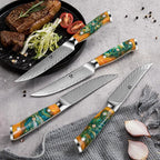 WILDMOK Steak Knives, 5 inch Non Serrated Steak Knife Set of 4, Japanese Damascus VG10 Steel Steak Knives,Premium Steak Knives Set with Gift Box