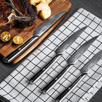 Sunnecko Damascus Steak Knives Set of 4 Serrated, Japanese VG10 Stainless Steel Steak knives Dishwasher Safe, 5 Inch Steak Knives G10 Handle with Gift Box