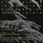Skandinavisk Skog 'Forest' Scented Candle with 2 Wicks. Fragrance Notes: Pine Needles and Fir Cones, Birch Sap and Lily of The Valley. 14.1 oz.